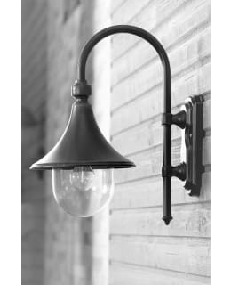 NOOR TRUMPETTI MUSTA ULKOSEINÄVALAISIN Main Image