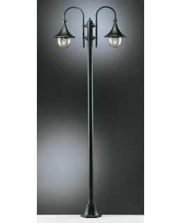 NOOR TRUMPETTI 2-OS. MUSTA PYLVÄSVALAIS Main Image