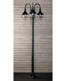 NOOR TRUMPETTI 3-OS VIH.MST PYLVÄSVALAIS Main Image