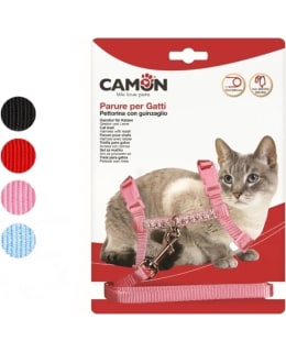 CAMON VALJAAT TALUTTIMELLA LAJ. KISSALLE Main Image