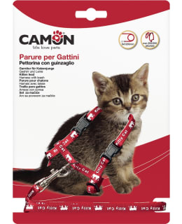 CAMON KISSANPEN VALJAAT TALUTTIMELLA Main Image