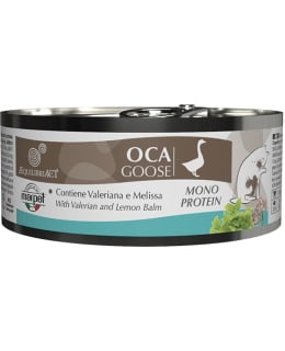 MARPET HANHI 85G KISSAN MÄRKÄRUOKA Main Image