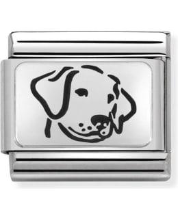 NOMINATION CL 330109/06 DOG PIEC Main Image
