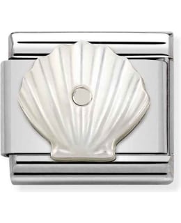 NOMINATION CL 330509/11 SHELL MOTHER PIE Main Image