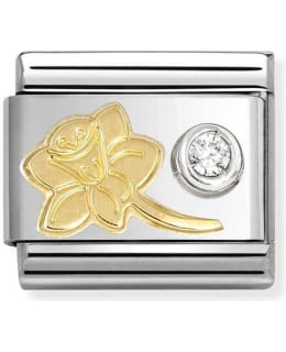 NOMINATION CL 630301/05 NARCISSUS PALA Main Image