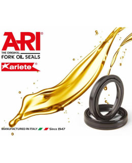 ARI DUST SEAL, 35 X 48,5/53 X 5,8/15 Main Image