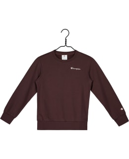 CHAMPION SWEATSHIRT B 307315 MS570 S Main Image