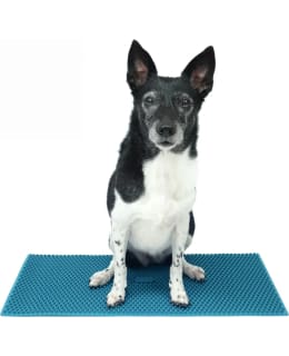 FITPAWS K9 FITMAT 60X30CM PLATFORM Main Image