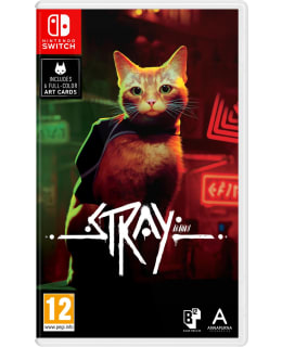 STRAY NSW Main Image