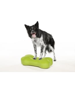 FITPAWS K9FITBONE BALANCE BONE GREEN Main Image