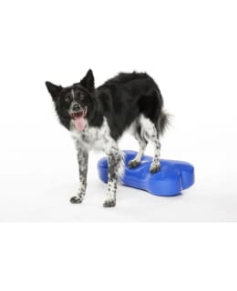 FITPAWS K9FITBONE M TASAPAINOAL. SIN. Main Image