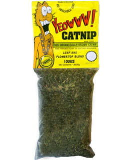 YEOWWW CATNIP 1 OZ (28 GR) Main Image