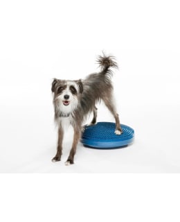 FITPAWS BALANCE DISC, BLUE, S ⌀36 CM Main Image