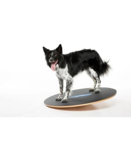 FITPAWS DOG BALANCE BOARD ⌀50 CM Main Image