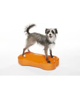 FITPAWS K9FITBONE BALANCE BONE ORANGE Main Image