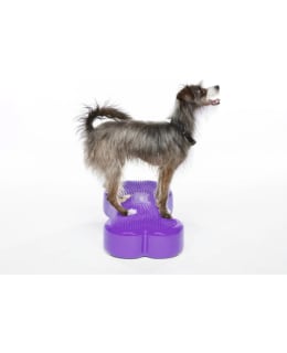 FITPAWS K9FITBONE BALANCE BONE VIOLET Main Image
