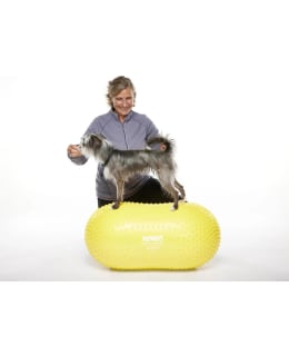 FITPAWS PEANUT TRAX YELLOW 40CM PLATFORM Main Image