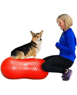 FITPAWS PEANUT TRAX RED 50CM PLATFORM Main Image