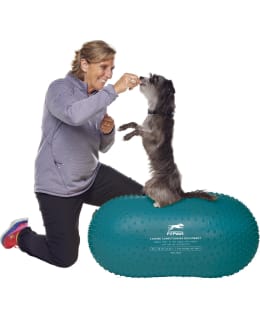 FITPAWS PEANUT TRAX BLUE 60CM PLATFORM Main Image