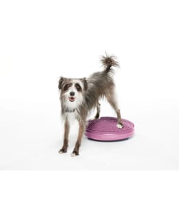 FITPAWS TASAPAINOTYYNY PINKKI, L ⌀56 CM Main Image