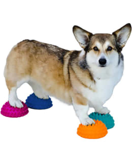 FITPAWS PAW PODS DOG HALF BALLS 4PCS Main Image