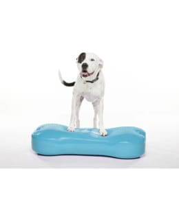 FITPAWS K9FITBONE XL BALANCE BONE AQUA Main Image