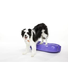 FITPAWS K9FITBONE XL BALANCE BONE VIOLET Main Image