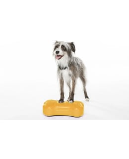 FITPAWS K9FITBONE MINI 2KPL MANGO Main Image
