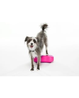 FITPAWS K9FITBONE MINI 2PCS PINK Main Image