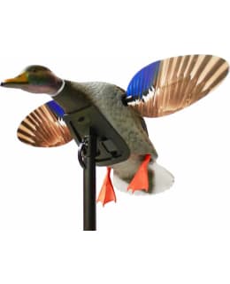 MOJO MINI MALLARD DRAKE Main Image