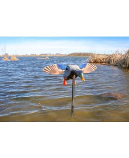 MOJO ELITE SERIES MINI MAL DRAKE+REMOT Main Image