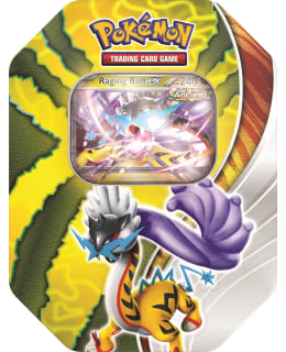 POKEMON EX TIN PARADOX DESTINIES TIN Main Image