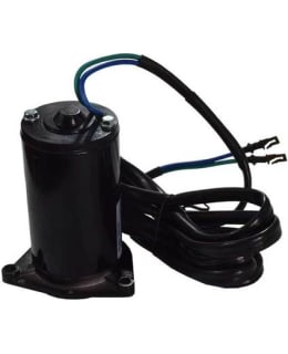 EMP 105-300-03109 TRIMMIMOOTTORI JOHNSON Main Image