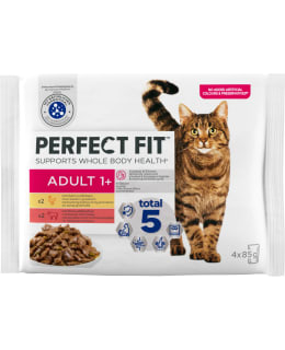 PERFECT FIT CAT 4X85G ADULT KASTIKELAJ Main Image