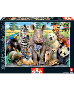 EDUCA IT'S A CLASS PHOTO 1000P PALAPELI Main Image