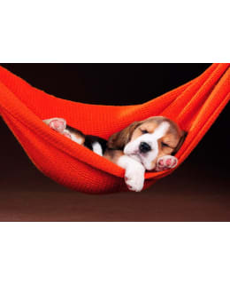 EDUCA SLEEPING IN HAMMOCK 500P PALAPELI Main Image