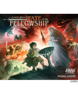 LORD OF THE RINGS FATE OF THE FELLOWSHIP Main Image