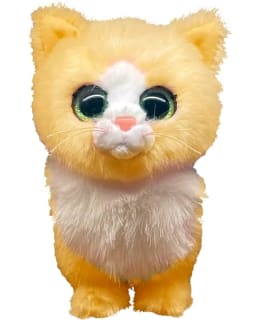 TY 37410 TABBYCAT 15 CM KISSA PEHMO Main Image