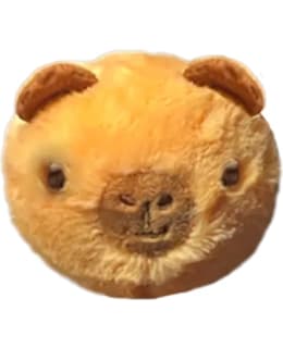 TY 83093 BARRY CAPYBARA PEHMOPALLO Main Image