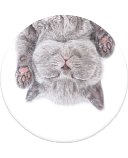 POPSOCKETS CAT NAP PIDIKE Main Image