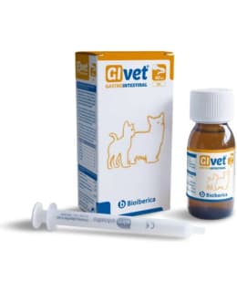 GI-VET 60 ML TÄYDENNYSREHU Main Image