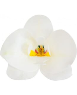 DEKORA VALKOINEN ORKIDEA SYÖTÄVÄ KORISTE Main Image
