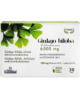 NATURE ESSENTIAL 30KAPS GINKGO BILOBA Main Image