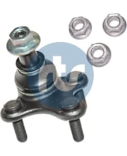 161-9390920256 PALLONIVEL Main Image