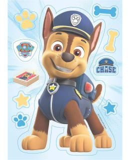 SYÖTÄVÄ KAKKUKUVA RYHMÄ HAU VAINU Main Image