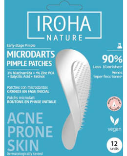IROHA NATURE MICRODARTS 12KPL FINNILAPUT Main Image
