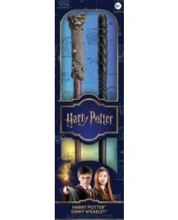 HARRY POTTER TAIKASAUVAT HARRY + GINNY Main Image