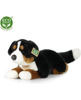 BERNINPAIMENKOIRA  PEHMO Main Image