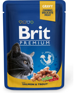BRIT PREMIUM CAT LOHI-TAIMEN KAST. 100G Main Image