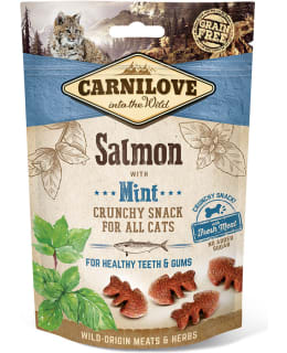 CARNILOVE CAT CRUN SNACK SALMON/MINT 50G Main Image